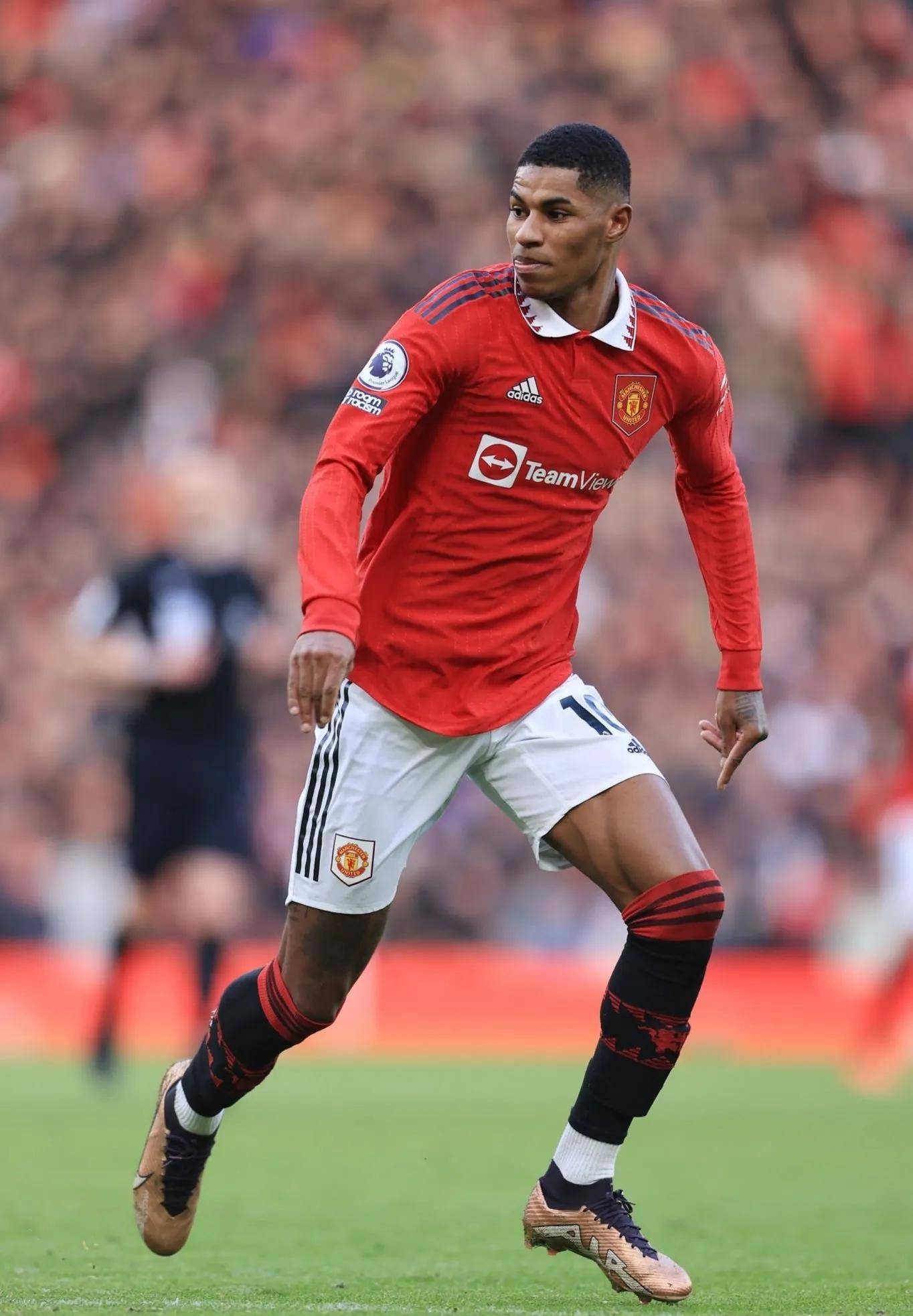 界的目光 界的目光